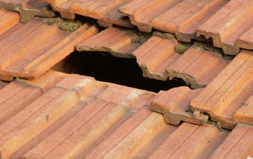 roof repair Rushall